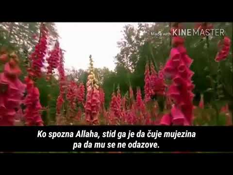 Nećeš stići do Allaha, osim sa Allahom - Šejh Salih el-Megamisi