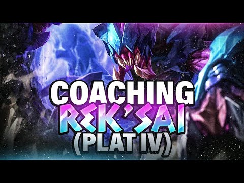ÊTRE DÉCISIF EN JUNGLE - COACHING REKSAI ( PLAT IV )