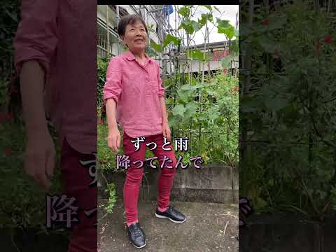 キュウリの仲間は何か 相互の好意が花粉媒介者を引きつける 害虫を阻止する