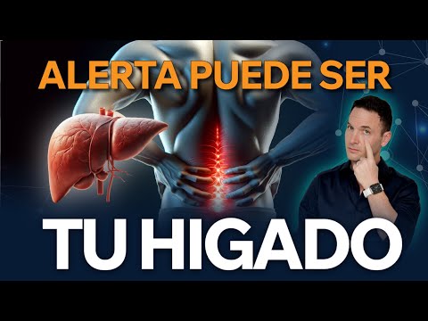 ¡CUIDA tu HÍGADO! El dolor de espalda es un signo de ALARMA 🚨