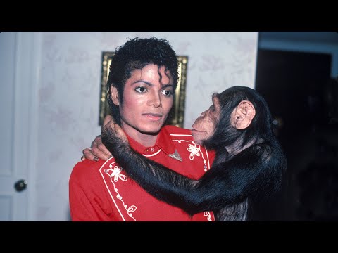 The Funniest Michael Jackson Stories!