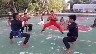 Download lagu Aksi kocak dan sangat lucu family ikspi kera sakti ranting tulang ganjil walikota mp3