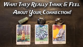 💕💥 What They Really Think & Feel About Your Connection! 💥💕 Pick A Card Love Reading