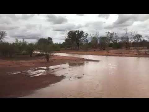 WILLOWRA ROAD 😮😯 2020