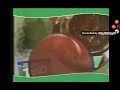 Tang Ice Tea Commercial 2007 2006