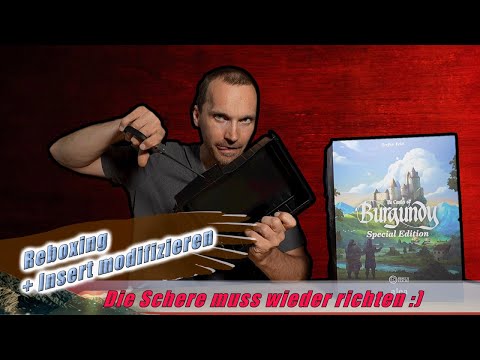 [The Castles of Burgundy Special Edition - Reboxing + Insert Modifikation]