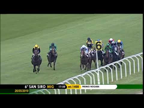 2019.05.26 Premio Nogara (ITA) - Greach