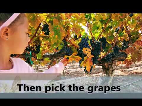 Parhelion the start movie # 1 Youtube