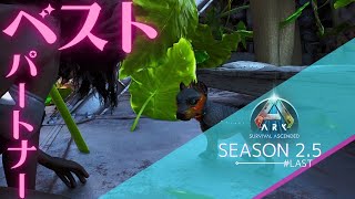 【ASA】TEK文明に辿り着けない２ヶ月【PS5 ark実況 #LAST】