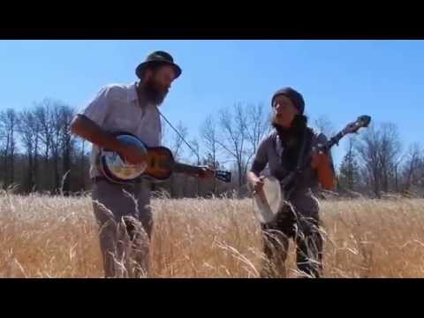The Palm in The Cypress video, "Two Wrens"