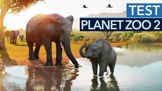Planet Zoo 2: Das heimliche Highlight ist gar kein Zoo! - Test