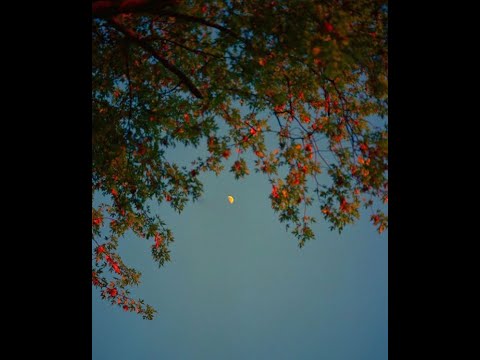 [ FREE ] Alpha Wann x Nepal x Nekfeu x Grünt boom bap type beat - "minuit" (prod.nausaah)