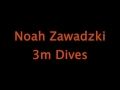 Noah Zawadzki 3 meter Springboard Dives