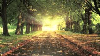 Trinidad - Indian Summer