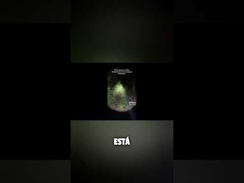 Niño Fantasma en Cerro de Guazapa, El Salvador #miedo #paranormal #terror #viral