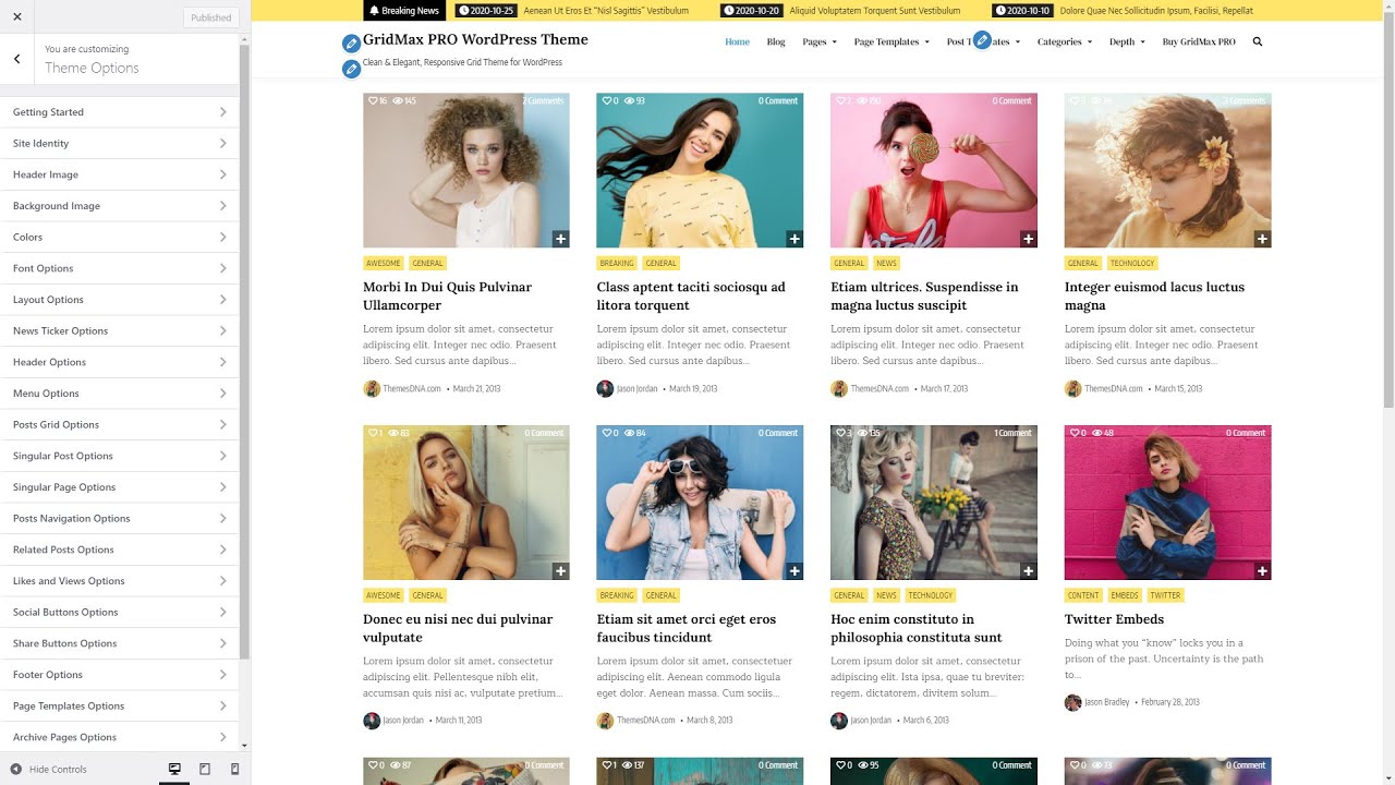 Customizer Theme Options - GridMax PRO WordPress Theme