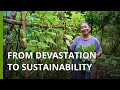 This community rebuilt its farms with sustainable methods in the Philippines