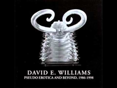 David E. Williams - Stephanie, I Forgive You