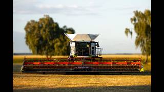 Claas Lexion 8700 grain harvester | Image 4 - Agroline