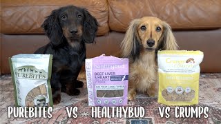 Dachshunds Taste Test Healthy Dog Treats