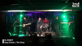 SEXY DREAM - stray [cover] #사당동내밴드