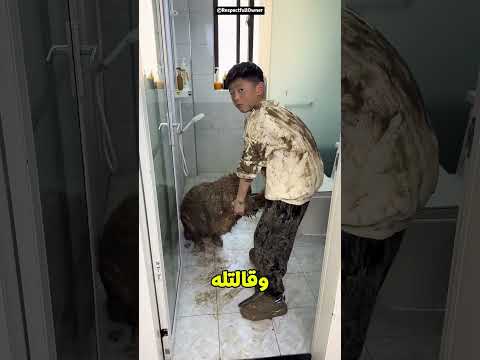 الكلب بقى أسد بسبب اللعب في الطين 🐶🦁