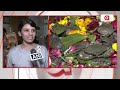 Watch Unique Temple In Surat Where Live Crabs Are Offered To God