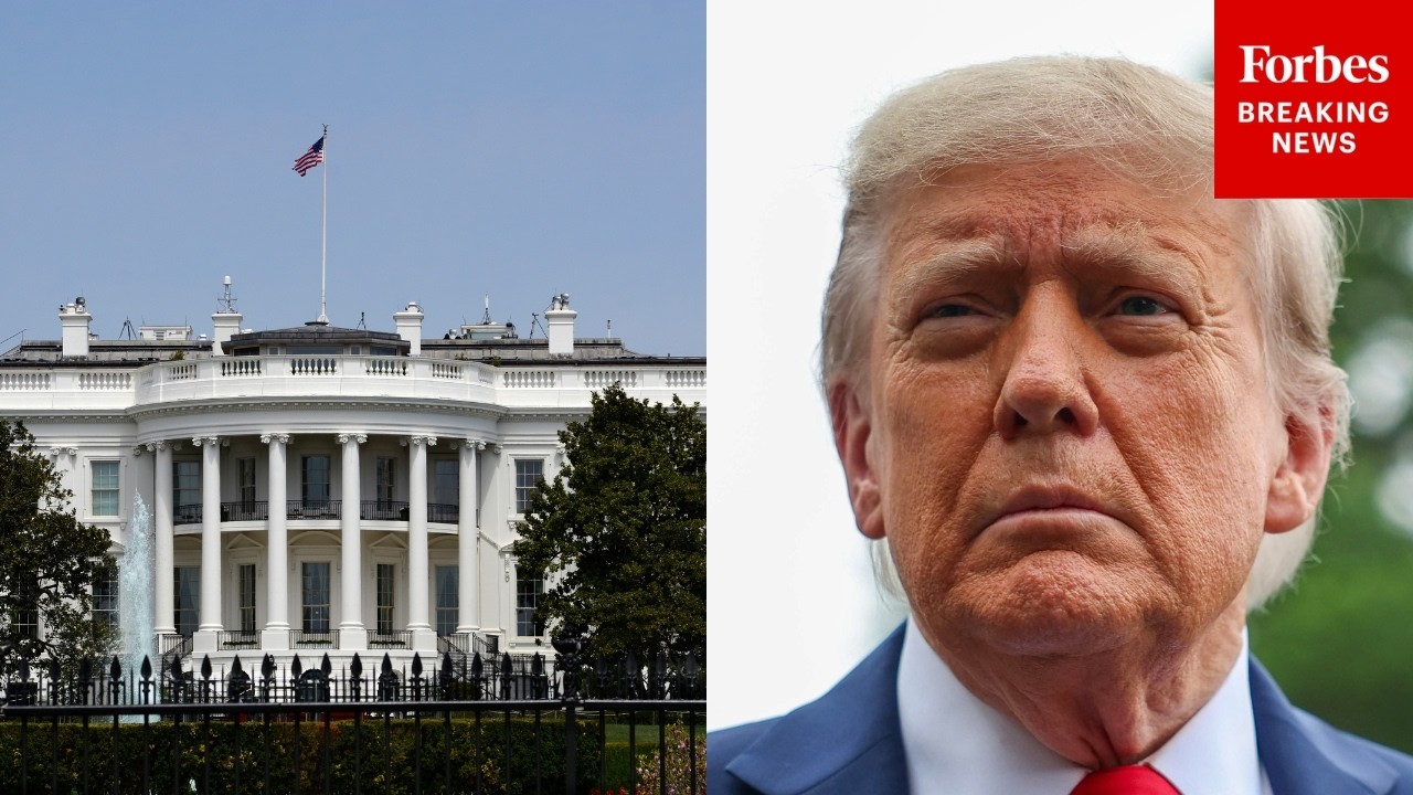 Video: Trump highlights North Portico column repairs at White House