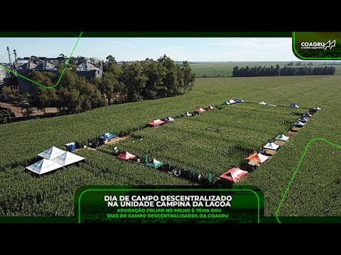 Coagru Informativo - Dia de Campo de Milho Campina da Lagoa