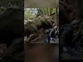 Indominus Rex VS Spinosaurus
