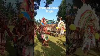 The famous Dragon dance from Bogia Madang. 