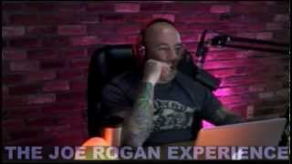 Best of The Week - Joe Rogan Experience - February 18, 2013