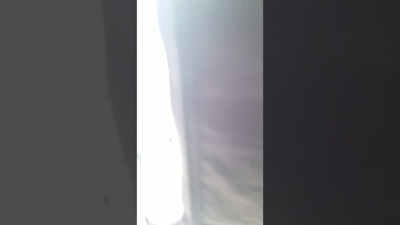 Up date on the bio365