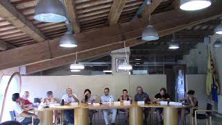 Ple ordinari del 28 de juliol de 2022