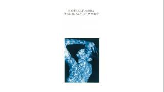 Raffaele Serra - Disappearing Music