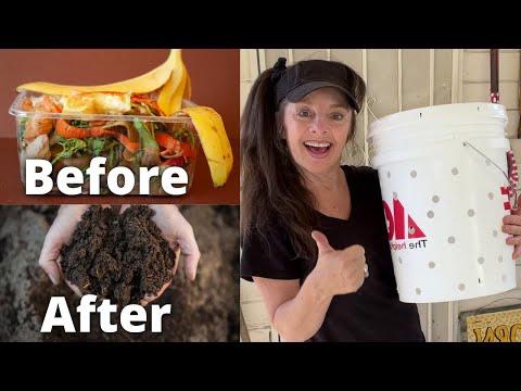 How to Compost in a Bucket - with RESULTS!