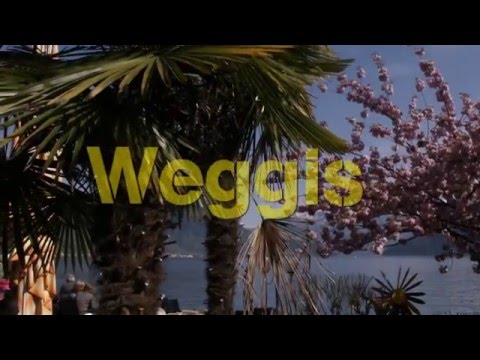 Weggis am Vierwaldstättersee