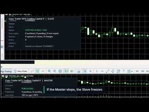 Video Copy Trader Master MT5 Trading Capital P