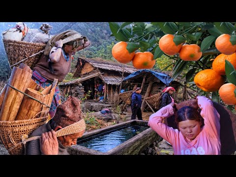 From River to Plate: Traditional Nepali Organic Fish & Rice in a Remote Mountain Jungle