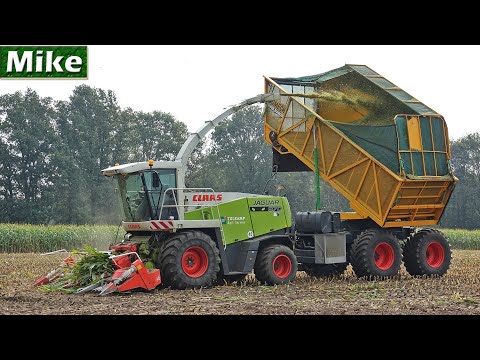 2019 | Mais hakselen met Bomech Bunker bij Tolkamp Agri Service | MF, Joskin, Pottinger.