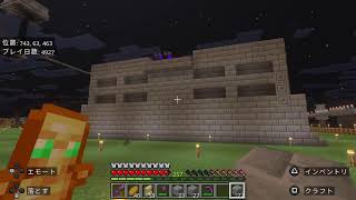 Minecraftやる　色んなもの1スタック集める回