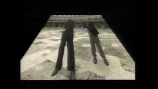 Laid Back- White Horse