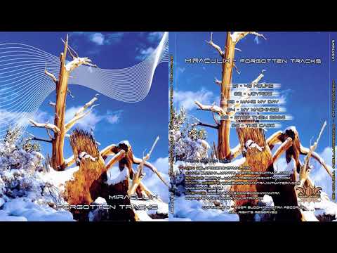 Miraculix - 48 Hours