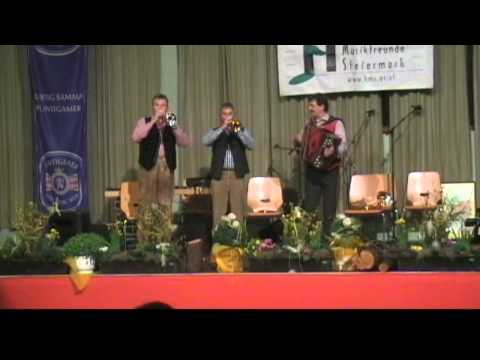 Auf der Reise ... Stainz 2/3 - stromlos beim Harmonikafestival in Stallhof