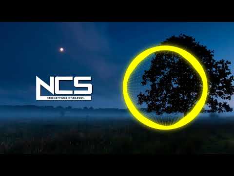 Kamix, PJONAX & R4MPAGE Intoxicated (NCS Fanmade)