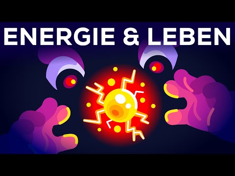 Warum lebst du? - Energie & Entropie
