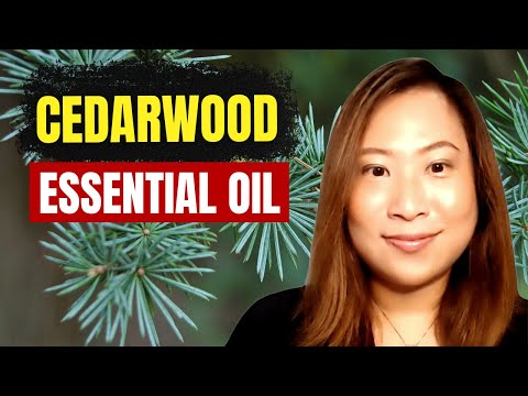 CEDARWOOD ESSENTIAL OIL benefits & uses | Clinical...