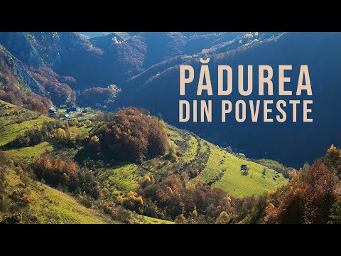 Şipote Waterfall and the Sub Piatră Monastery (Under the Rock)
