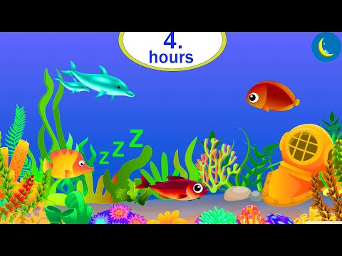 r4 hours Hey Bear Sensory - Aquarium - Relaxing classical music - Soothing Sleep Video