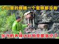 大山里的蜂桶全是空的，这么好的环境不适合养蜂？难不成养蜂计划要落空了